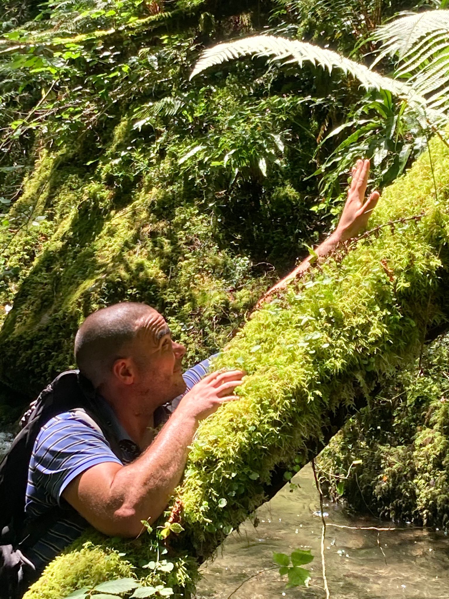 Profilo di Simohamed