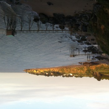 Profilo di Edouarlise